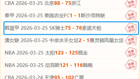 里尔对阵阿斯顿维拉：交锋势均力敌